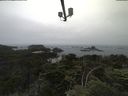 ./images/calvert/lookout/20210706/lookout20210706_091501.jpg
