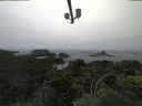 ./images/calvert/lookout/20210706/lookout20210706_093501.jpg