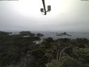 ./images/calvert/lookout/20210706/lookout20210706_100501.jpg