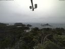 ./images/calvert/lookout/20210706/lookout20210706_101001.jpg
