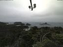 ./images/calvert/lookout/20210706/lookout20210706_105502.jpg