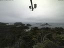 ./images/calvert/lookout/20210706/lookout20210706_112501.jpg