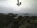 ./images/calvert/lookout/20210706/lookout20210706_113501.jpg