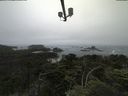 ./images/calvert/lookout/20210706/lookout20210706_115501.jpg