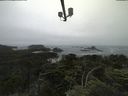 ./images/calvert/lookout/20210706/lookout20210706_121001.jpg