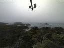 ./images/calvert/lookout/20210706/lookout20210706_124502.jpg