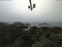./images/calvert/lookout/20210706/lookout20210706_125002.jpg