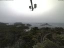 ./images/calvert/lookout/20210706/lookout20210706_125502.jpg