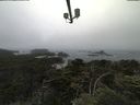 ./images/calvert/lookout/20210706/lookout20210706_130501.jpg