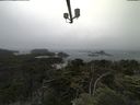 ./images/calvert/lookout/20210706/lookout20210706_131001.jpg