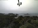 ./images/calvert/lookout/20210706/lookout20210706_132501.jpg