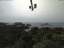 ./images/calvert/lookout/20210706/lookout20210706_133501.jpg