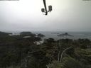 ./images/calvert/lookout/20210706/lookout20210706_134001.jpg