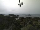 ./images/calvert/lookout/20210706/lookout20210706_134501.jpg