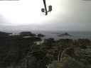 ./images/calvert/lookout/20210706/lookout20210706_142002.jpg