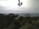 ./images/calvert/lookout/20210706/lookout20210706_144502.jpg