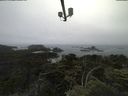 ./images/calvert/lookout/20210706/lookout20210706_160501.jpg