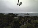 ./images/calvert/lookout/20210706/lookout20210706_172501.jpg
