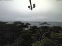 ./images/calvert/lookout/20210706/lookout20210706_181002.jpg