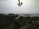 ./images/calvert/lookout/20210706/lookout20210706_194001.jpg