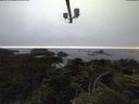 ./images/calvert/lookout/20210706/lookout20210706_215001.jpg