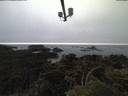 ./images/calvert/lookout/20210706/lookout20210706_220502.jpg