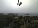./images/calvert/lookout/20210707/lookout20210707_085501.jpg