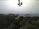 ./images/calvert/lookout/20210707/lookout20210707_101502.jpg