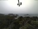 ./images/calvert/lookout/20210707/lookout20210707_102001.jpg
