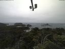 ./images/calvert/lookout/20210707/lookout20210707_105501.jpg