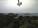 ./images/calvert/lookout/20210707/lookout20210707_111501.jpg