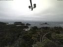 ./images/calvert/lookout/20210707/lookout20210707_120502.jpg