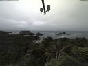 ./images/calvert/lookout/20210707/lookout20210707_124501.jpg