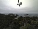 ./images/calvert/lookout/20210707/lookout20210707_125501.jpg