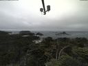./images/calvert/lookout/20210707/lookout20210707_131502.jpg