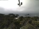 ./images/calvert/lookout/20210707/lookout20210707_135002.jpg