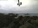 ./images/calvert/lookout/20210707/lookout20210707_145501.jpg