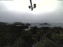 ./images/calvert/lookout/20210707/lookout20210707_172002.jpg