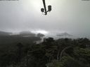 ./images/calvert/lookout/20210707/lookout20210707_173502.jpg