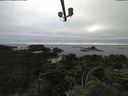 ./images/calvert/lookout/20210707/lookout20210707_201001.jpg
