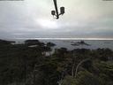 ./images/calvert/lookout/20210707/lookout20210707_204502.jpg
