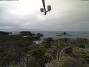 ./images/calvert/lookout/20210708/lookout20210708_121502.jpg
