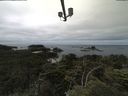 ./images/calvert/lookout/20210708/lookout20210708_124501.jpg