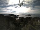./images/calvert/lookout/20210708/lookout20210708_171501.jpg