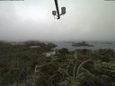 ./images/calvert/lookout/20210709/lookout20210709_073501.jpg