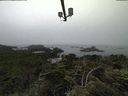 ./images/calvert/lookout/20210709/lookout20210709_081501.jpg