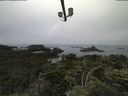 ./images/calvert/lookout/20210709/lookout20210709_090502.jpg