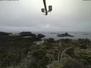 ./images/calvert/lookout/20210709/lookout20210709_091002.jpg
