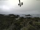 ./images/calvert/lookout/20210709/lookout20210709_091502.jpg
