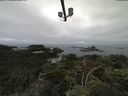 ./images/calvert/lookout/20210709/lookout20210709_100001.jpg